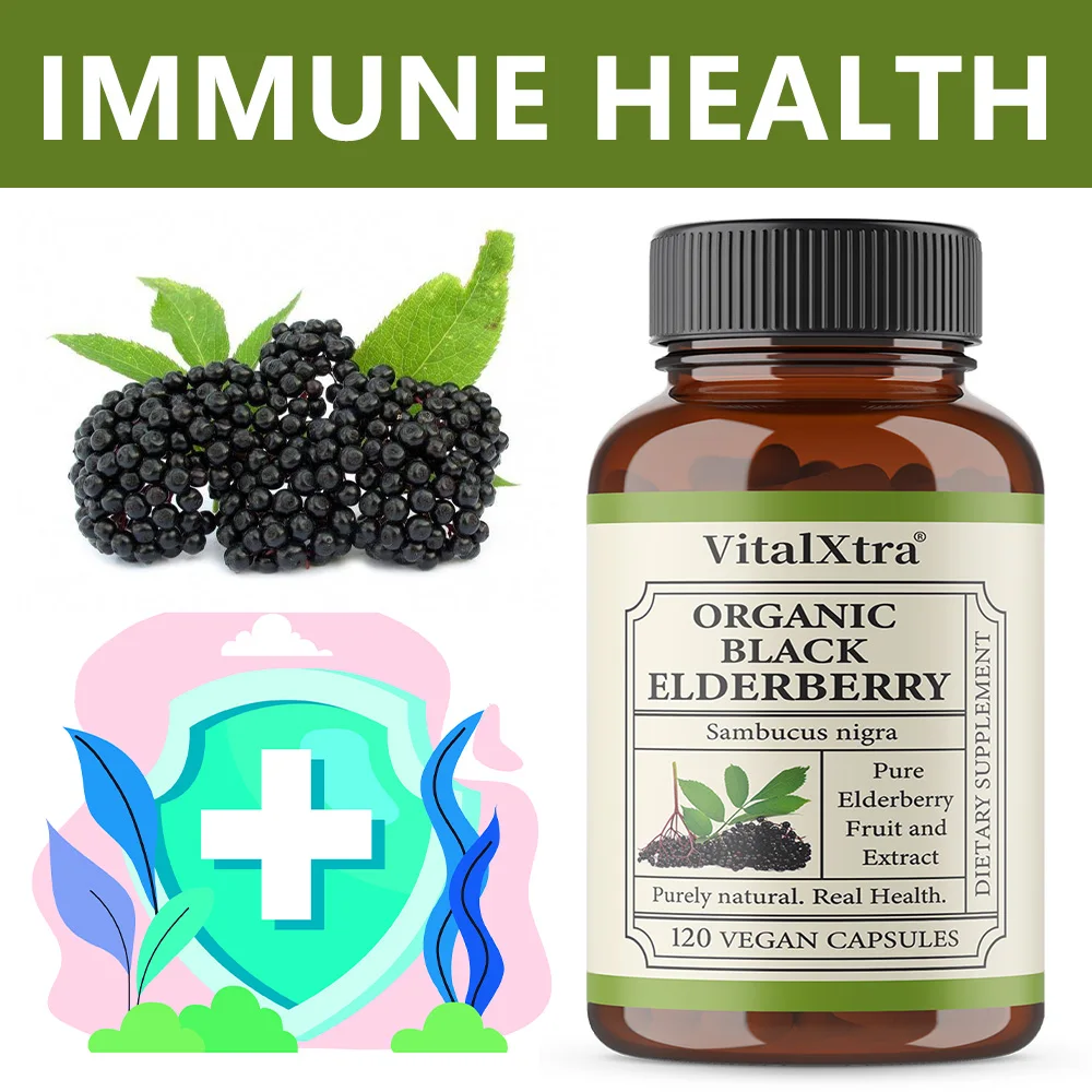 Black Elderberry - Antioxidant, Improves Cell Activity and Elasticity, Promotes Nutrient Absorption, Absorption, Boosts Immunity