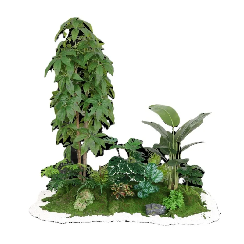 

Green plants, landscaping, balcony, landscape, indoor and outdoor, fake plants, decoration, traveler's banana, turtle back