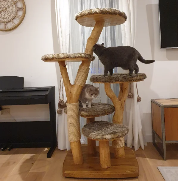 

Custom size solid wood cat climbing frame Each branch has its own characteristics Cat climbing tree cat toy cat house