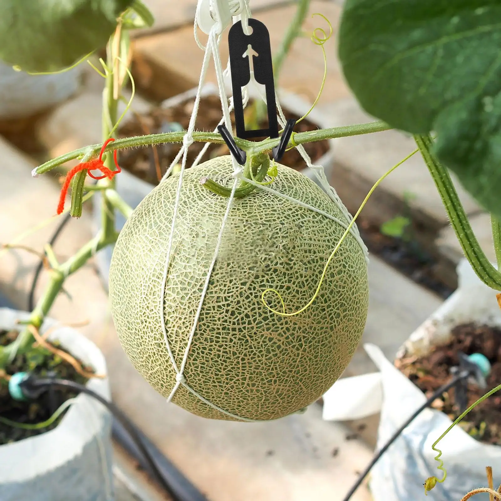

50pcs Melon Hook Bracket Outdoor Trellis Metal Garden Clips Stake For Climbing Plants Hooks Plant Support Fruit Heavy Duty Hooks