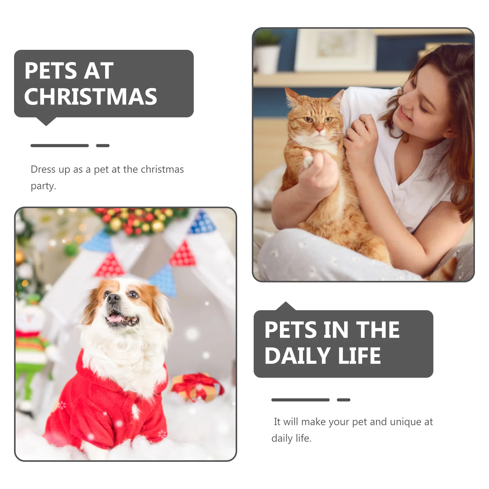 

Christmas Sunflower Cat Collar Adjustable Safe Durable Breathable Design Small Cat Puppy Collar for Parties Dog Holiday Collars