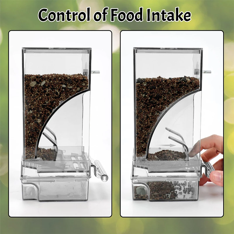 وحدة تغذية شفافة للطيور سهلة الاستخدام، حاوية بذور الببغاء الأكريليك للقفص، موزع طعام أوتوماتيكي
