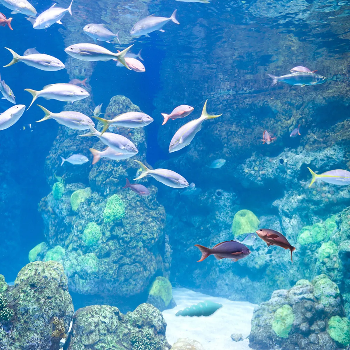 

70 шт. светящихся в темноте камней, разноцветные полимерные гальки, экологически чистый светящийся гравий, декоративные камни для аквариума, сада, двора, рыбы