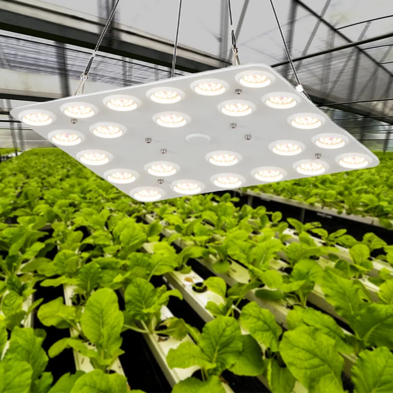 جديد حار بيع داخلي التكميلي كامل الطيف نمو النبات ضوء أنبوب لوحة الكم