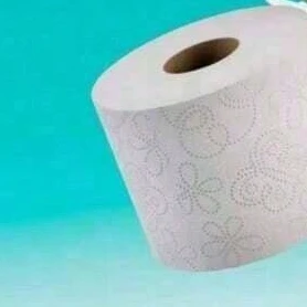 Soft Strong Toilet Tissue Pack of 32 Mega Rolls
