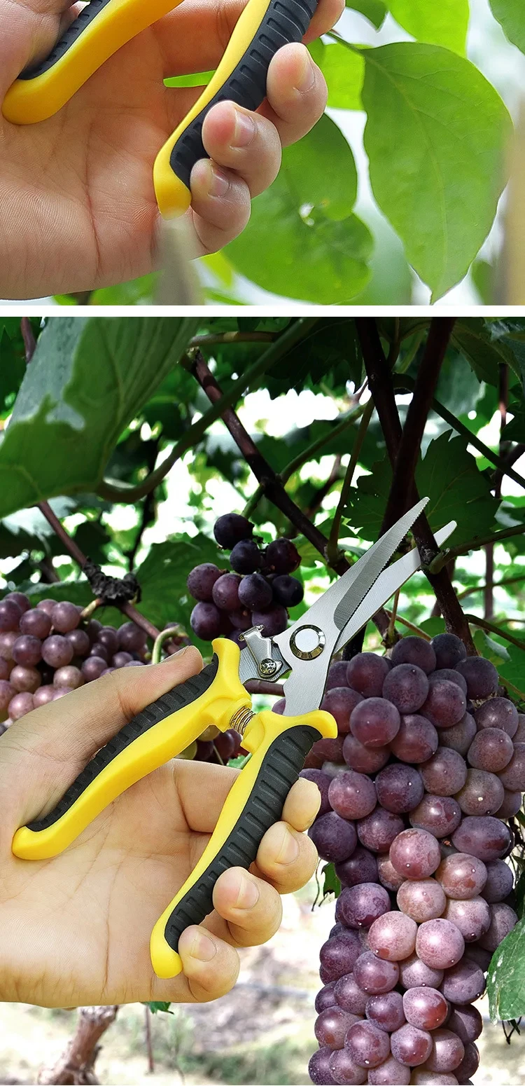 190 mm Gartenschere mit geradem Kopf, rutschfester Griff, Edelstahl-Outils-Handbücher, Haushalts-Bonsai-Gartenschere, Pruing-Schere – Detail 14