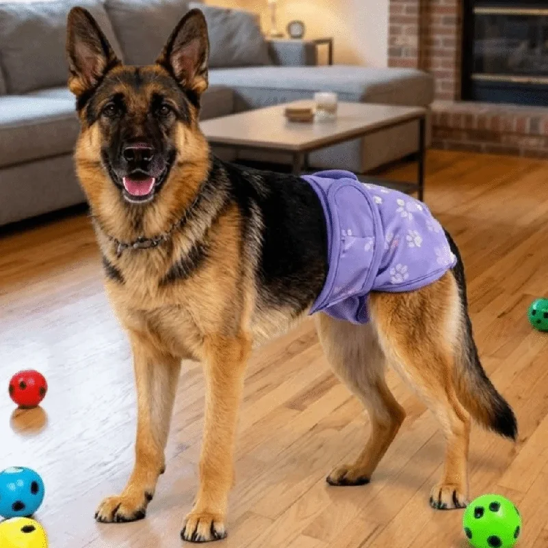 Washable Pet Sanitary Pants Breathable Adjustable Female Dog Diapers Politeness Belt Snaps Belly Pet Physiological Pants