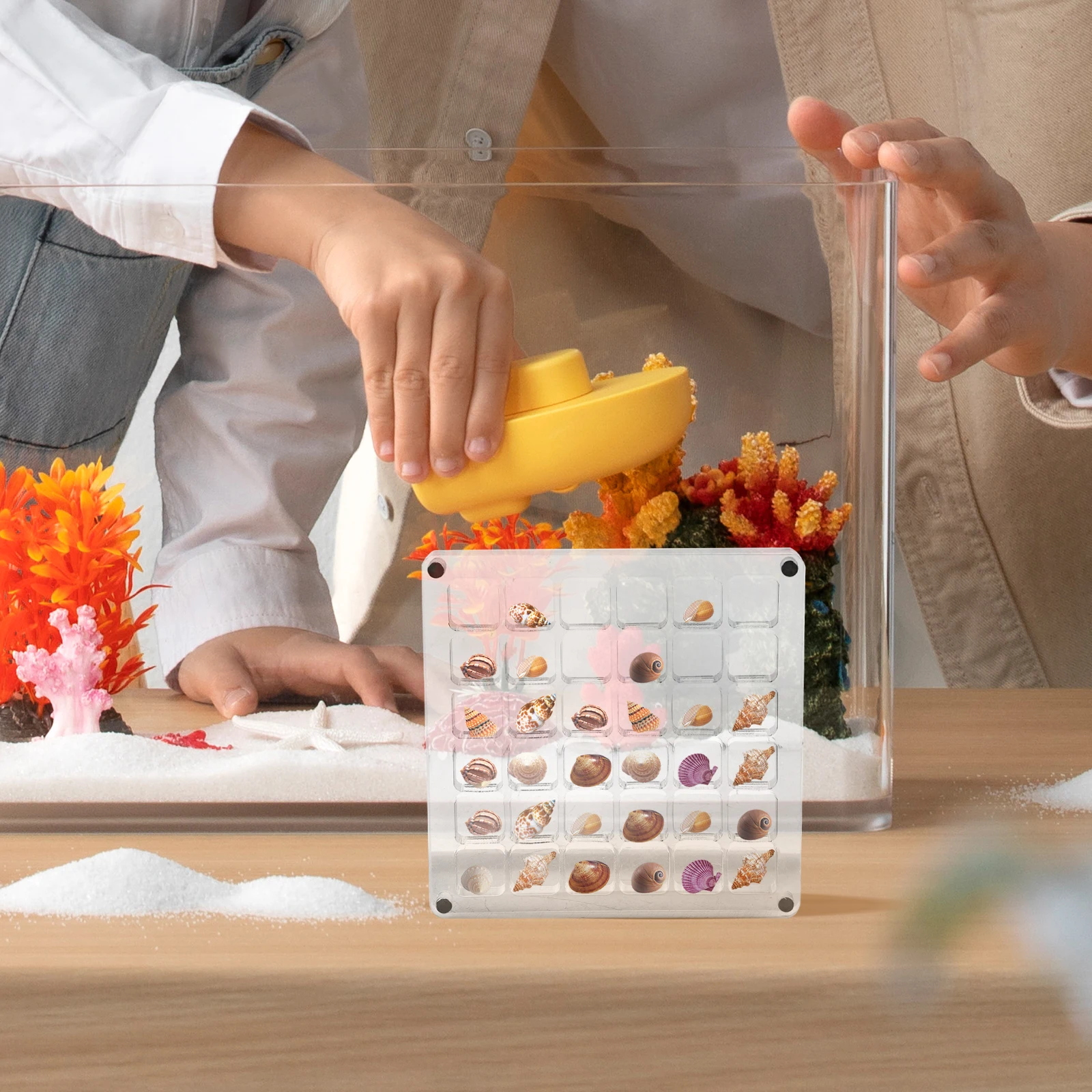 

Seashell Storage Box Clear Acrylic Mini Stone Display Frame Multi Grid Jewelry Organizer Trinket Case Seaside Decorative Wall