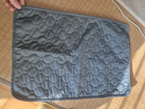 Customer review photo for Washable Reusable Dog Pee Pad