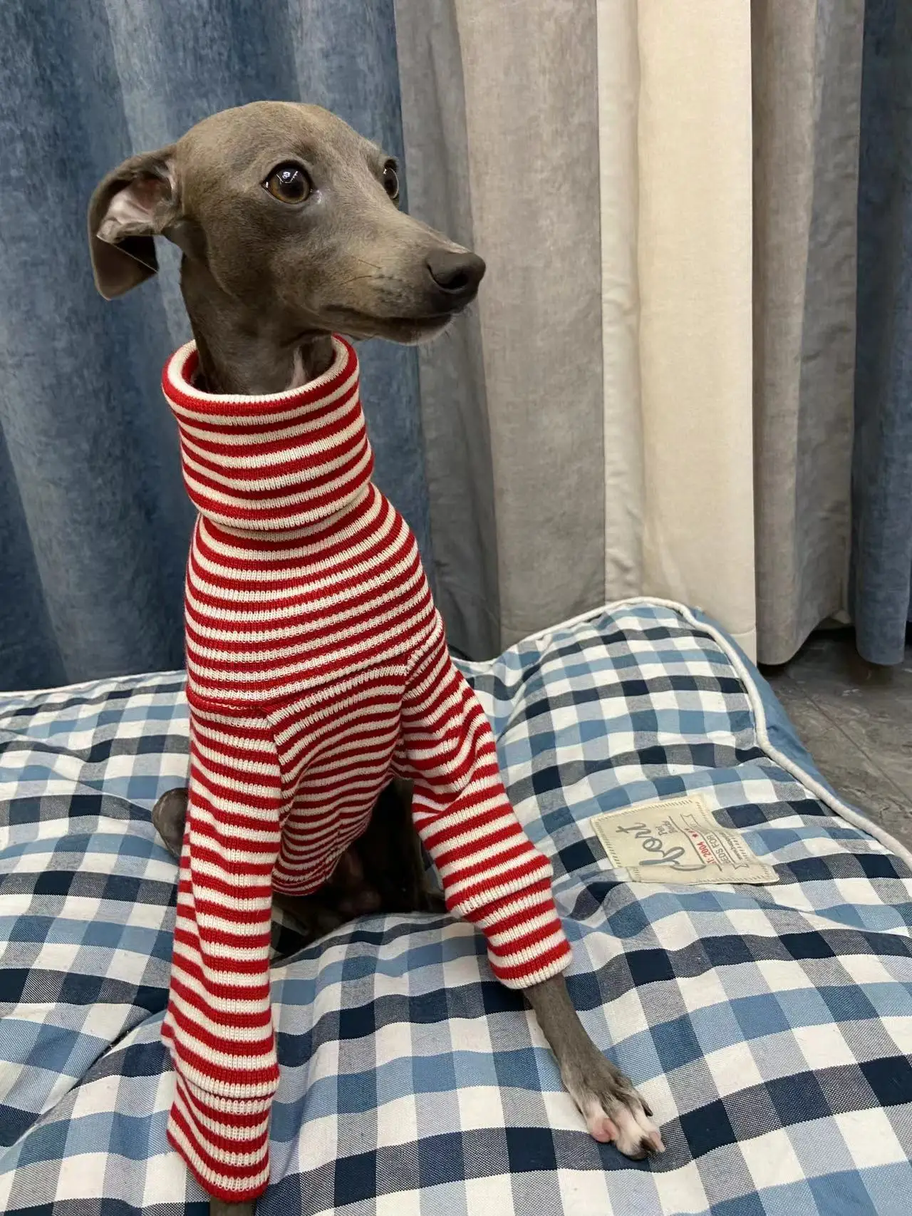 Italian Greyhound Red Striped Sweater Whippet Turtleneck Coat Stretch Warm Pet Clothing