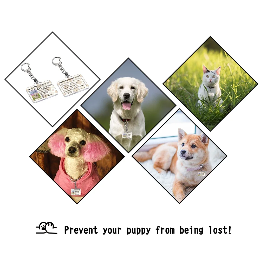 Personalized Photo Pet Dog Tags Customized Dog Cat ID Tag Pet Identification Card Kitten Puppy Anti-lost Collars Pet Accessories