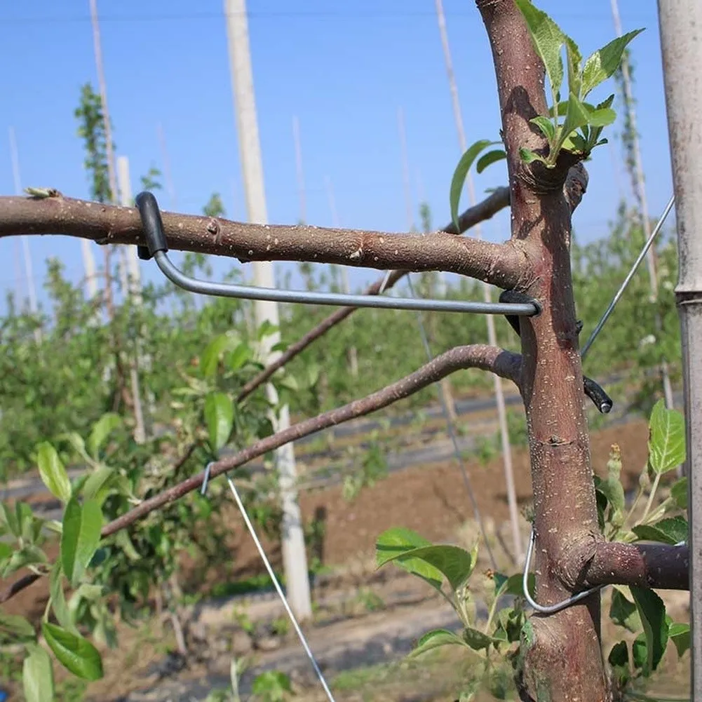 10 Pack Fruit Tree Branch Spreader for Assisting Natural Branch Development on Peach Plum Pear and Citrus Species