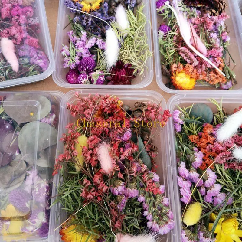E7ce 1 doos echte mix gedroogde bloemen voor hars sieraden planten geperste bloemen maken ambachtelijke diy accessoires
