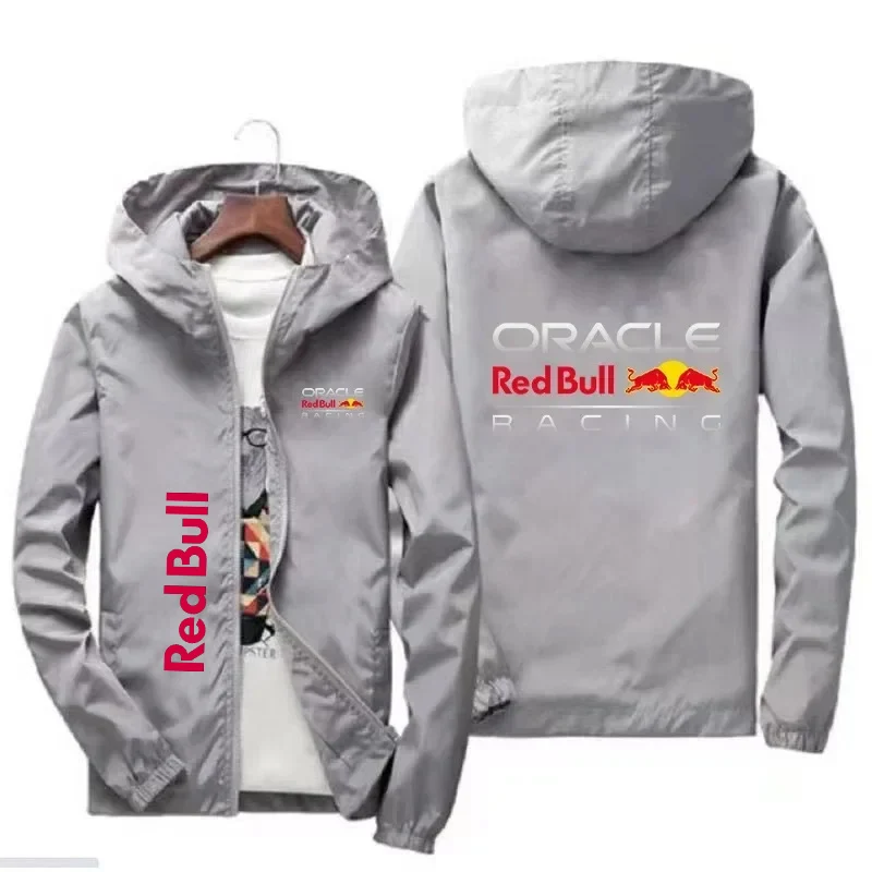Рисунок 4 - 2025 Red Bull с логотипом гоночной команды