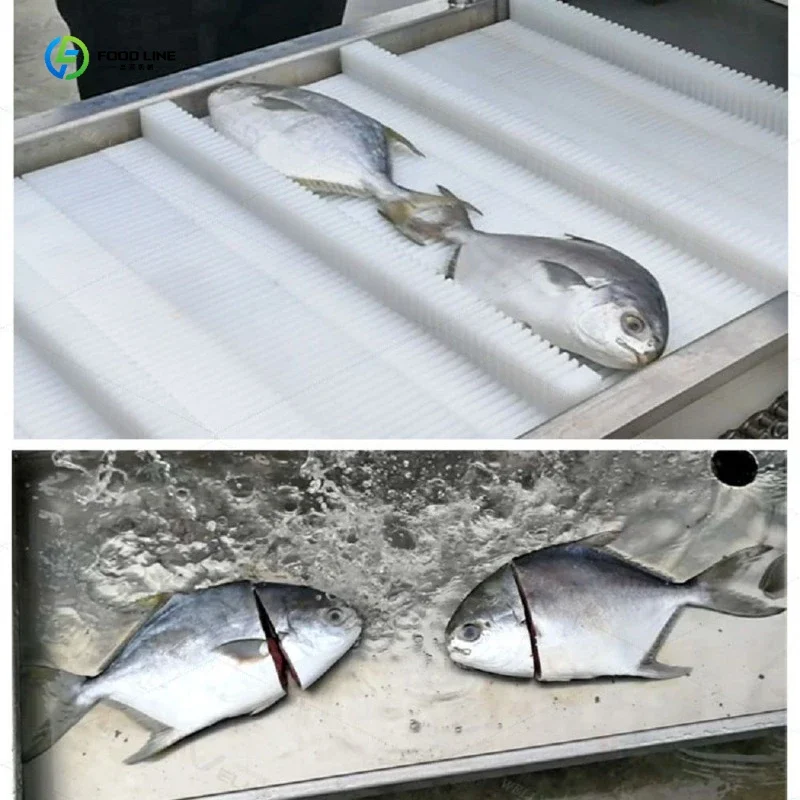 Hot Sale Small Fish Salmon Carp Vertical Bevel Angle Fish Head and Tail Remover Cutting Machine FL Customized
