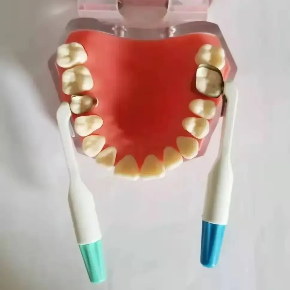 

Dental Adjustable Forming Sheet Sectional Contoured Bands Polyester Automatrix Metal Matrix Retainerless Locker with Handle