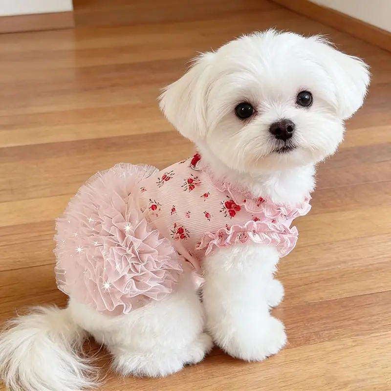 

Lightweight Summer Mesh Tutu Dress for Dogs, Cute Princess Style Tulle Fluffy Dress for Small Puppies, Teddy & Pomeranian