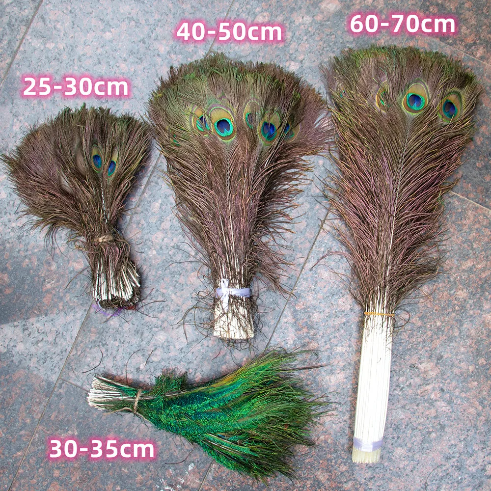 10PCS Natural Peacock Feather Bulk 8-70CM Long for Dress Clothing Sewing Feather Accessories Wedding Party Restaurant Vase Decor