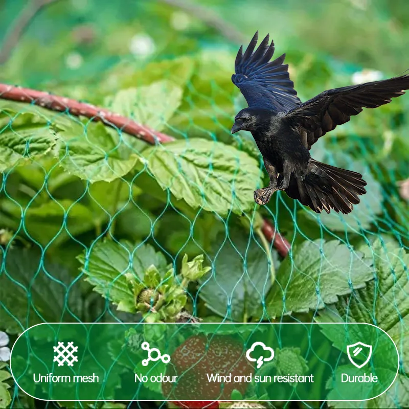بستان مكافحة الطيور المعاوضة شجرة الفاكهة زهرة حديقة شبكة ساحة حديقة النايلون المعاوضة مكافحة الآفات أداة توقف الطيور أفضل المبارزة