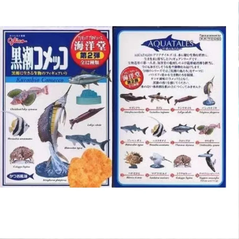 Japan Gashapon Figure Anime Cute Marine Life Series Whale Humpback Bottle Cap Model Action Figurine Capsule Toys Box Gift