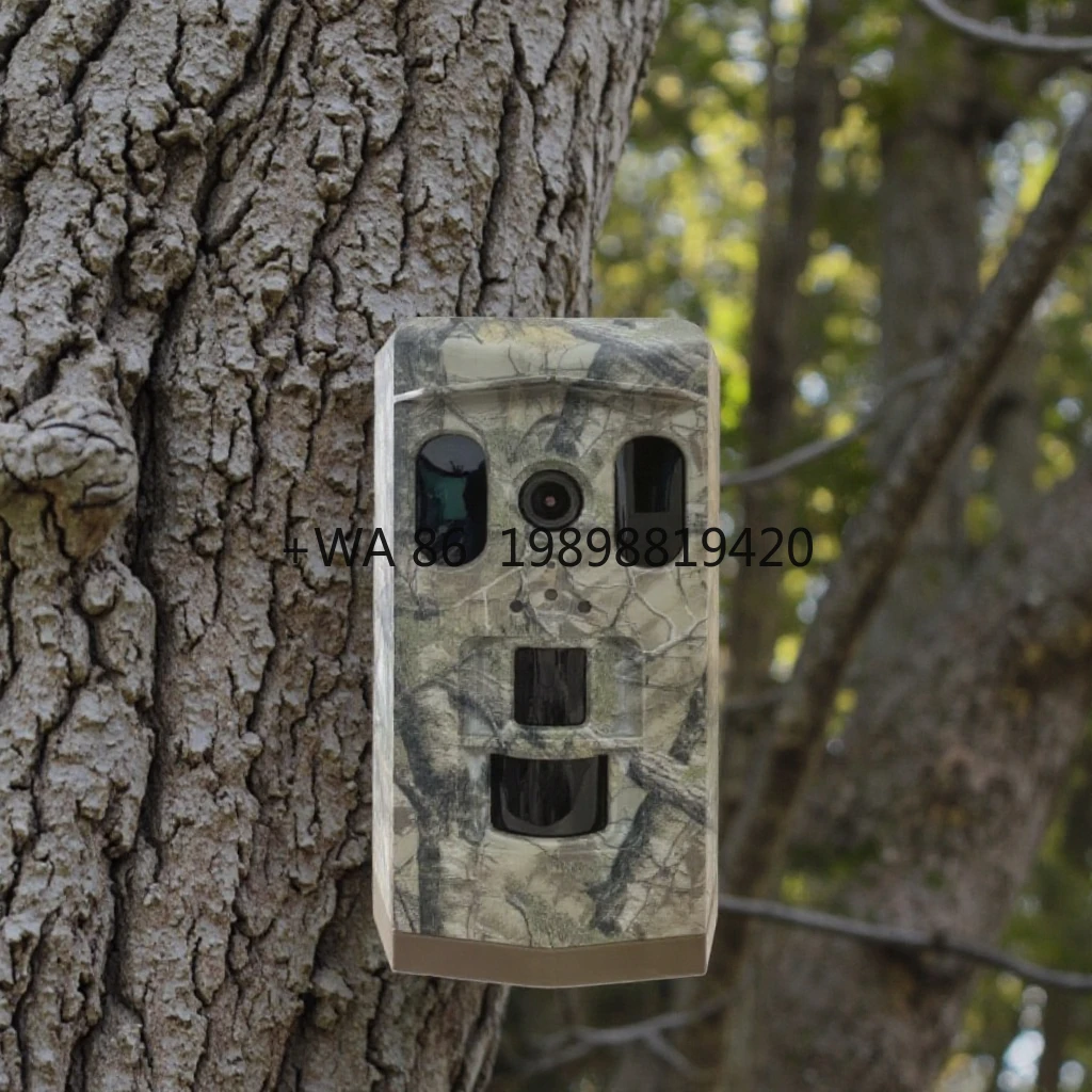 Adjustable Day Night Mode Trail for Bird Nesting Behavior Study Hunting Enhanced Visibility in All Lighting Conditions