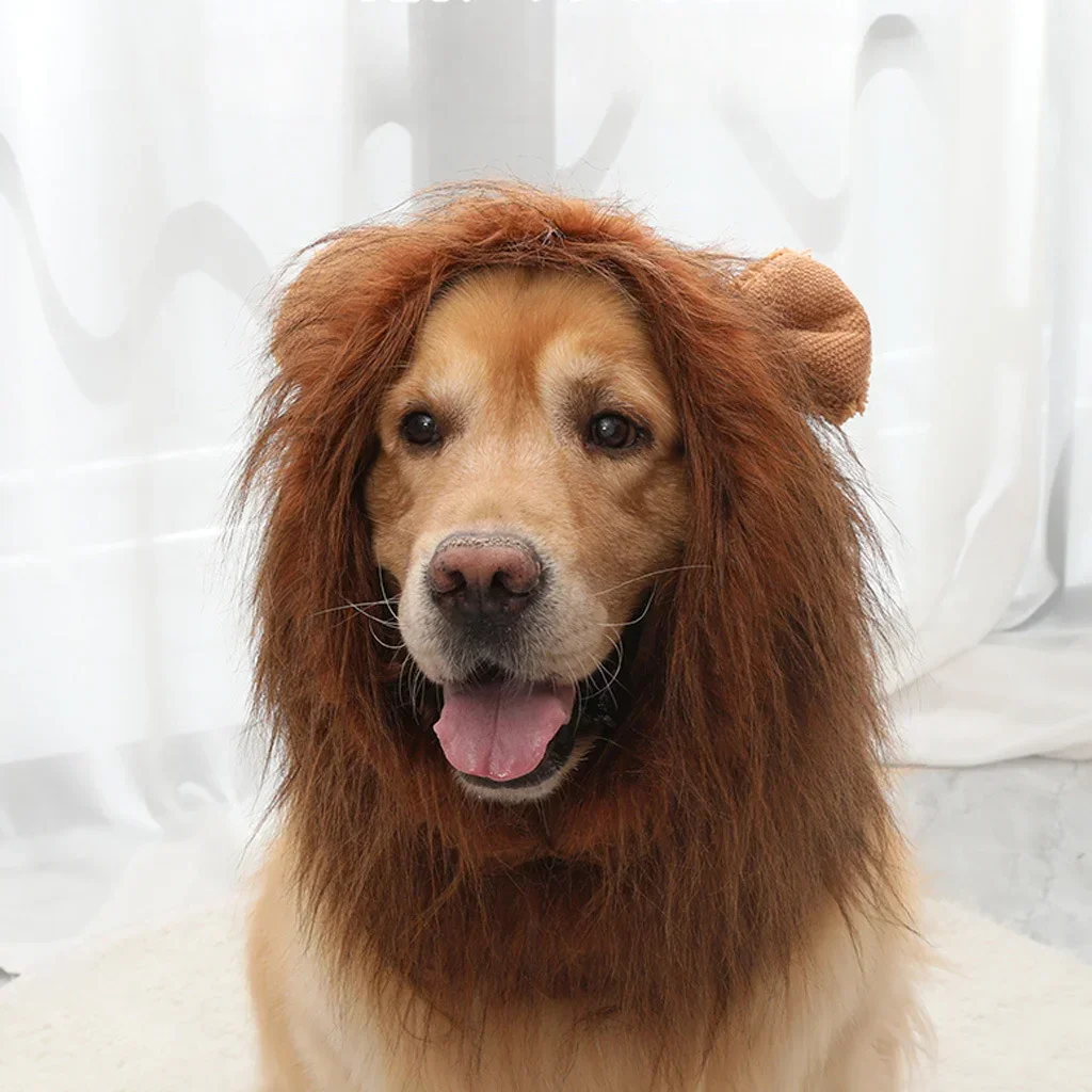 New Pet Products Golden Retriever Dog Cat Funny Act Cute Wig Lion Hood Hat