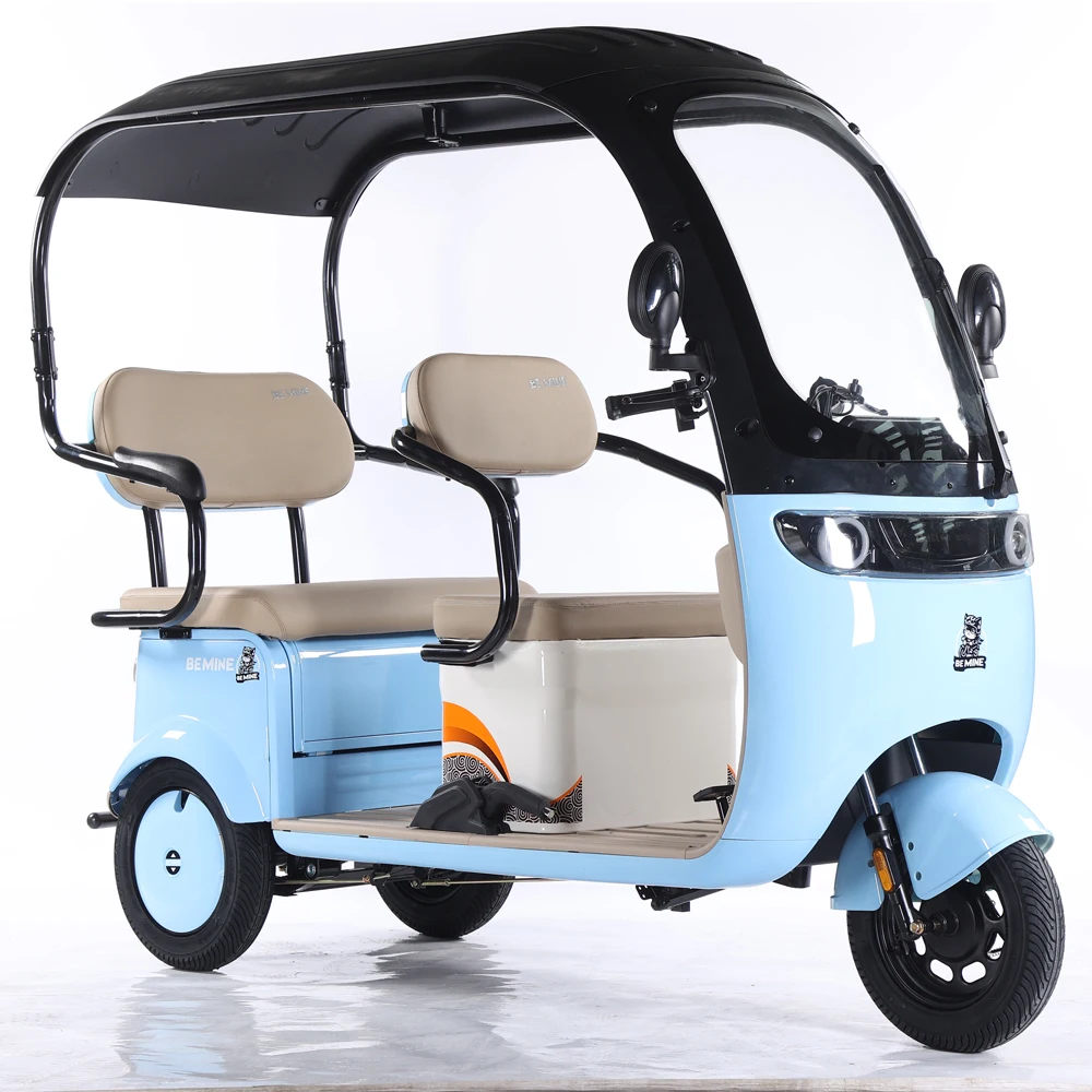 

High Quality 800W Electric Tricycles Two-Seater 3-Wheel Bike with Roof 60V Voltage Closed Body Type