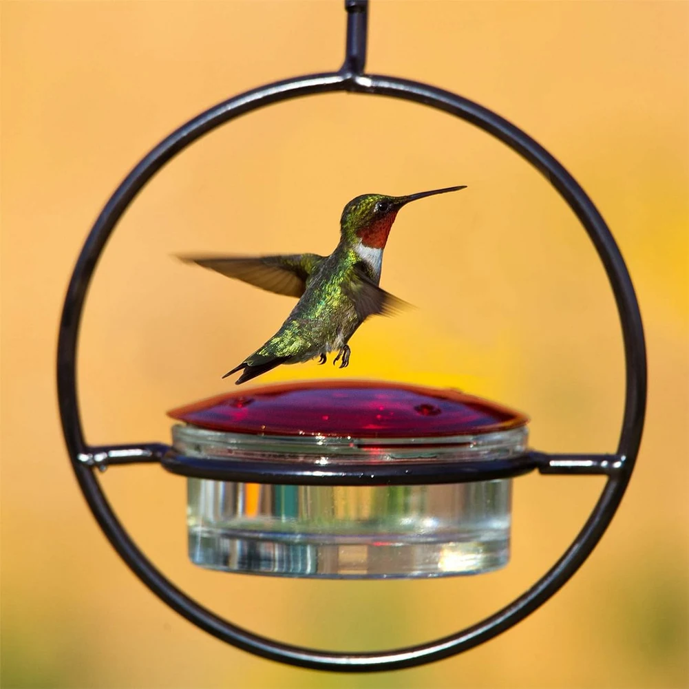 Mangiatoia per uccelli da esterno mangiatoia per abbeveratoio per colibrì a prova di ape con ciotola in vetro rosso per esterno giardino cortile