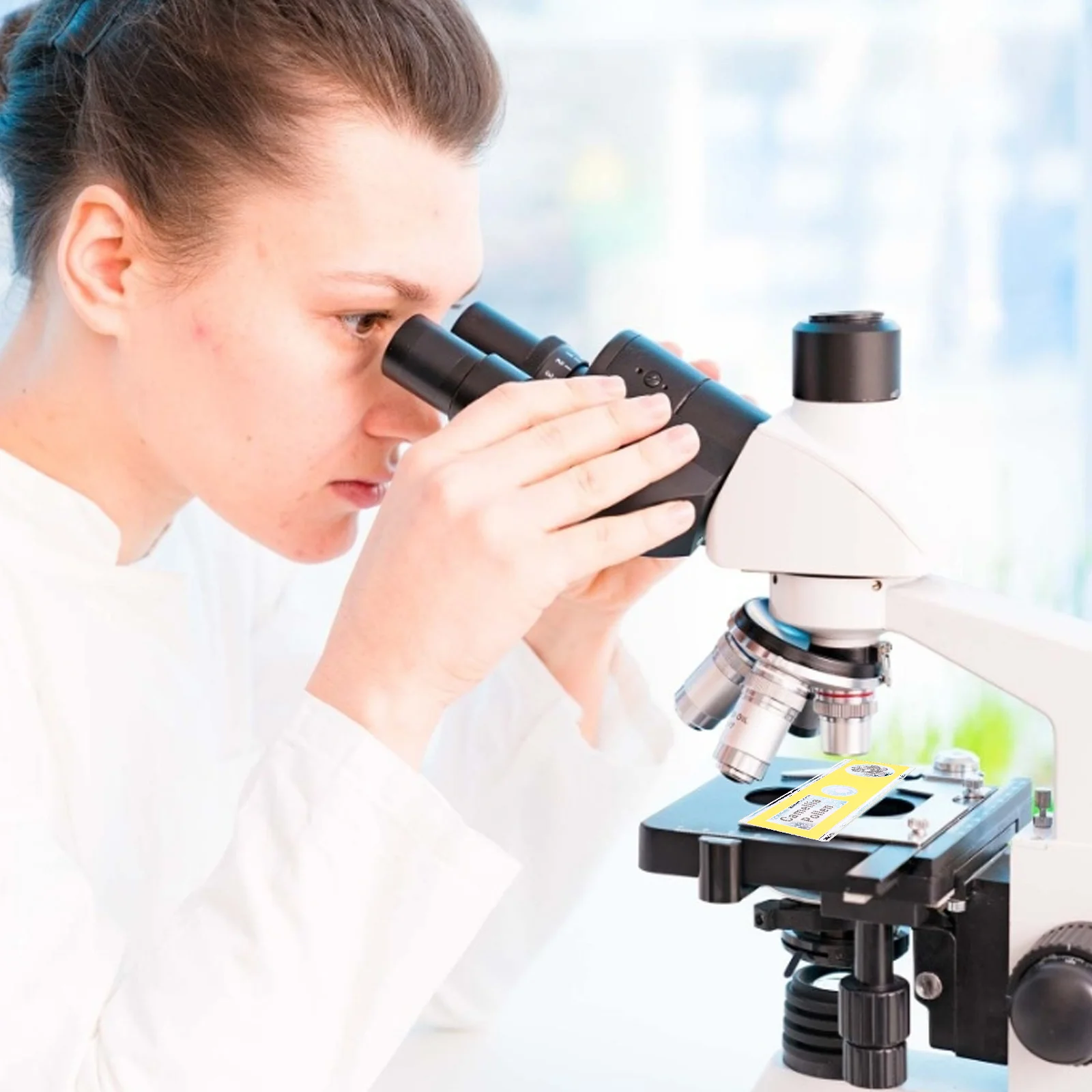 12Pcs Prepared Microscope Slides for Kids Plant Specimens Collection Stereo Biological Sample Slides Safe Plastic ABS Specimen