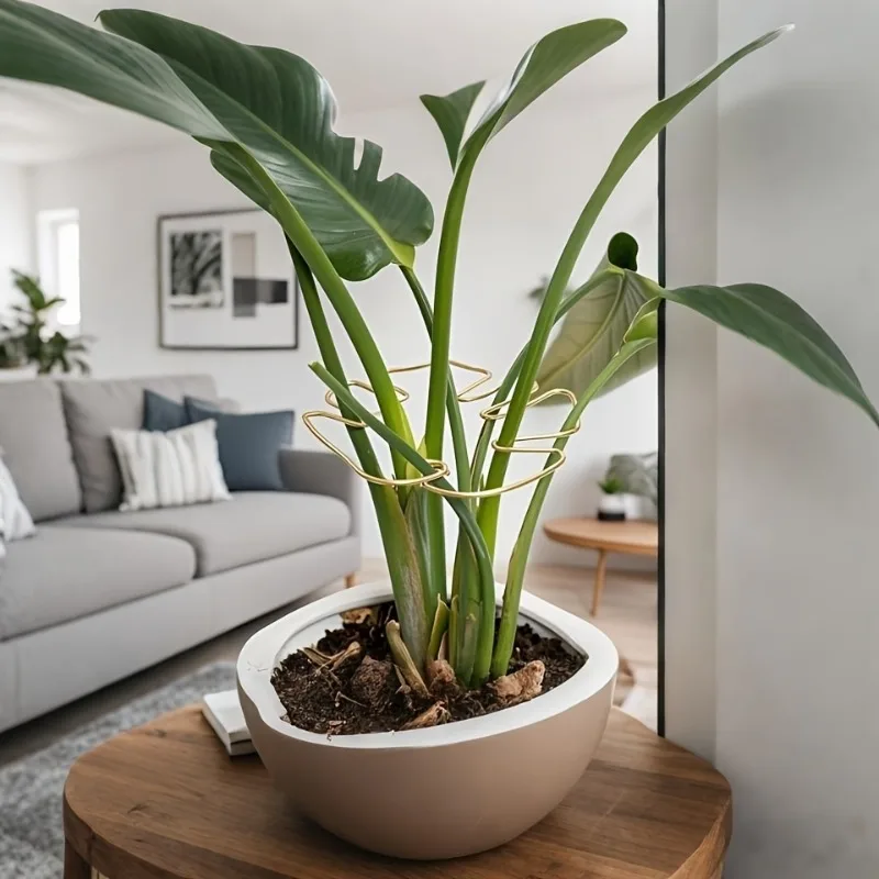 دعم جذع النبات، مثبت Monstera المتين، مدرب نباتات التسلق المعدني، ديكور الحديقة، دعم النباتات المثالي للنمو