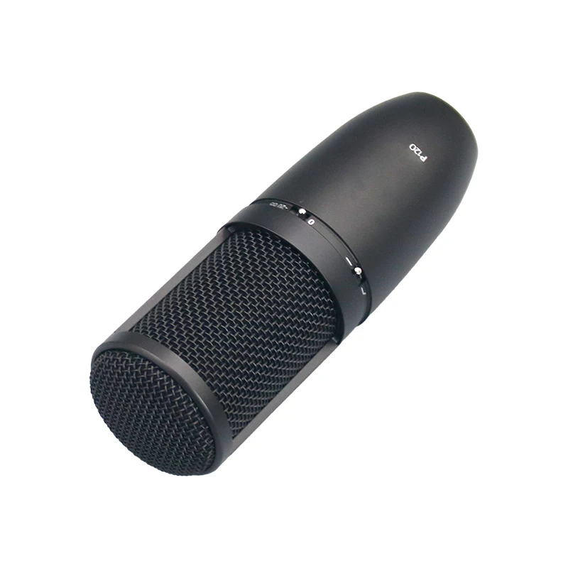 P120 Portable Noise Cancelling XLR Condenser Mic for Broadcast, Blogging, Gaming, Podcasting, Live Streaming - Wired, Boxed