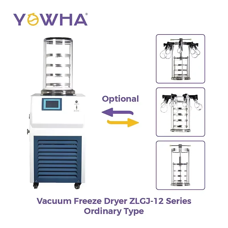custom for Lab Vacuum Lyophilizer ZLGJ12 Series Ultimate Vacuum 0.1Pa Pumping Speed 2L S Freeze Dried Area 0.12 Square Meter