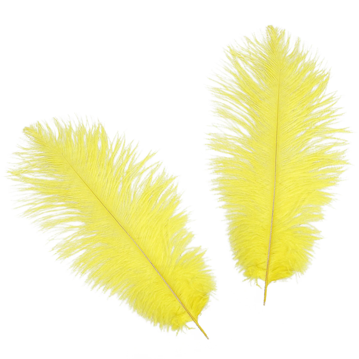 

10Pcs Natural White Ostrich Processed Fumigation for Wedding Party Centerpieces DIY Home Decoration Ostrich