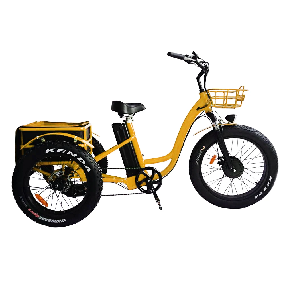 Young memories rear brushless Motor Electric Tricycle for health (RSD-708)