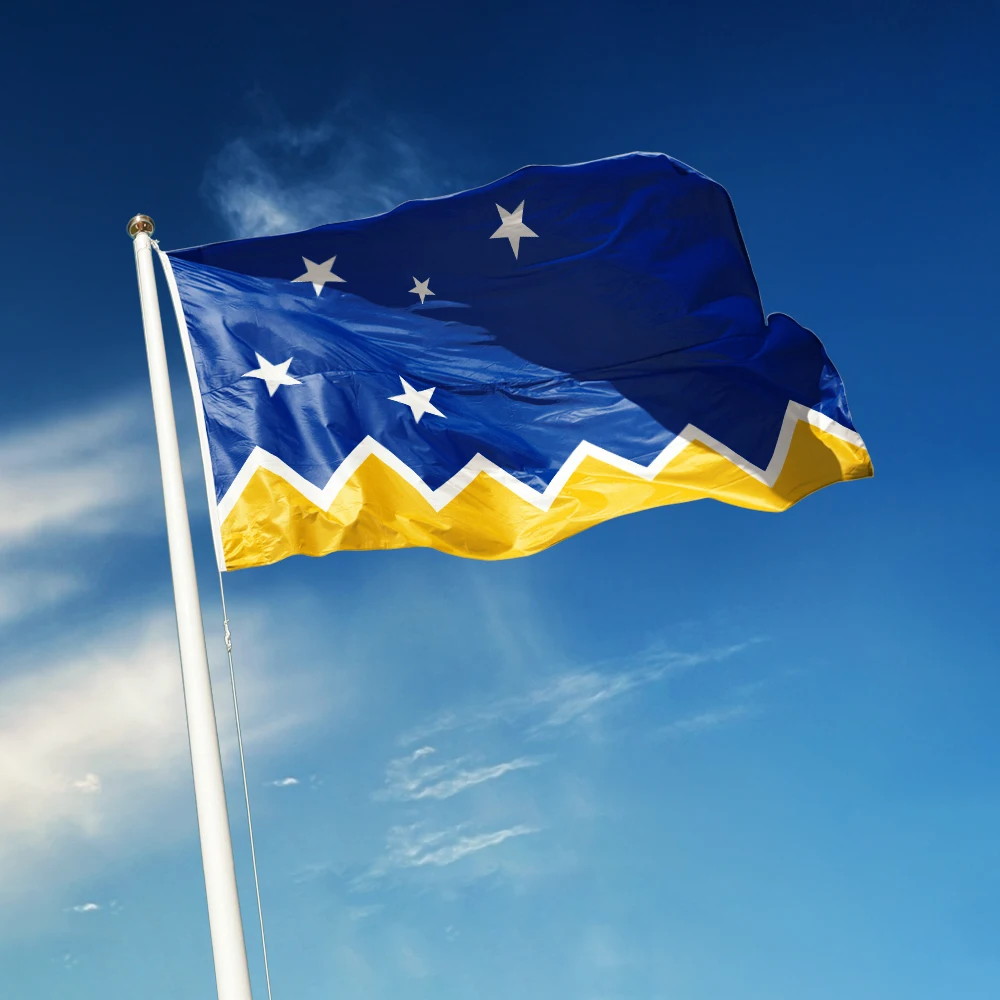 3x5 Ft Flag of Magallanes y la Antártica Chilena RegionVivid Color and Fade proofPolyester with Brass Grommets 3 X 5 Ft