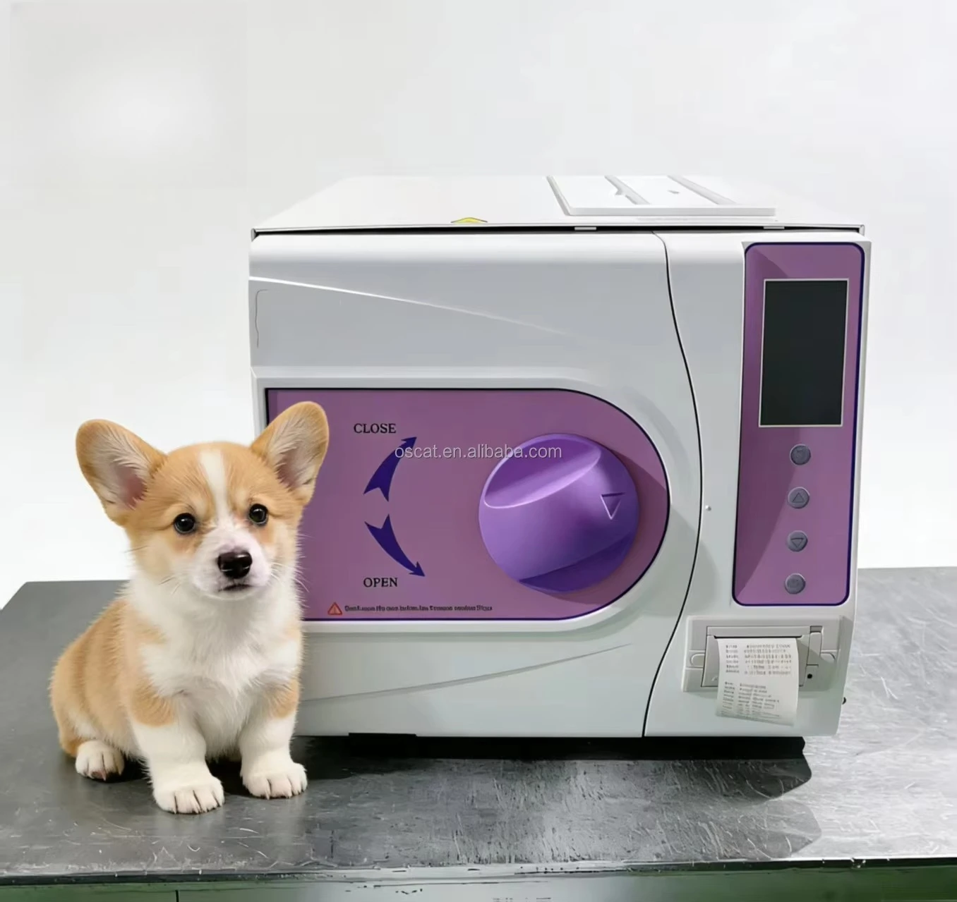 Veterinary Table Top Autoclave Class B Portable D/ental Pet Veterinary Autoclave Steam Sterilizer for Veterinary Hospital