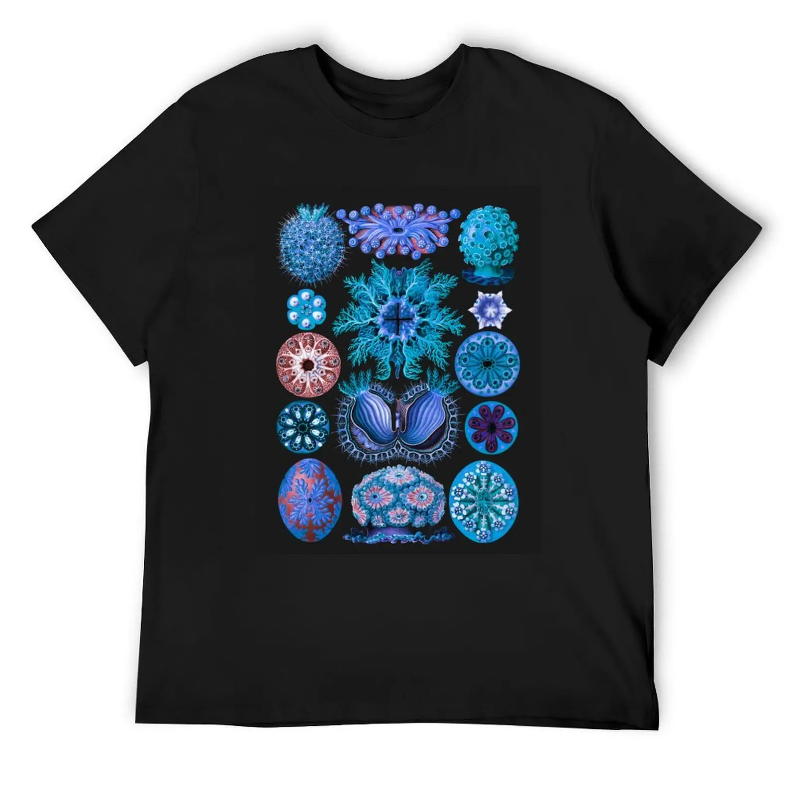 Blue: Haeckel Ascidiae T-Shirt graphic t shirts heavyweights korean fashion summer tops mens clothes