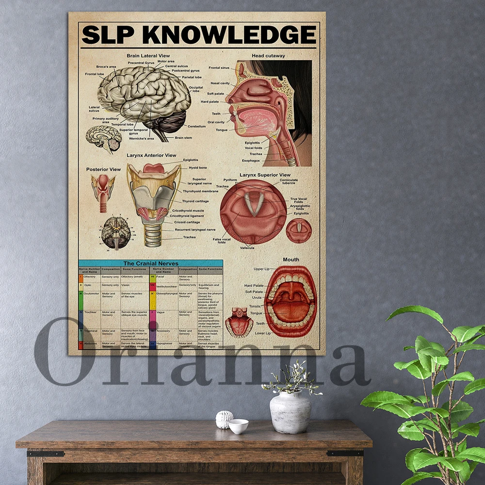 Speech Language Pathology Print, SLP Knowledge Posters, SLP Canvas, SLP Wall Decor, Slp Gift, Vintage Wall Art Painting