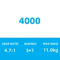 4000