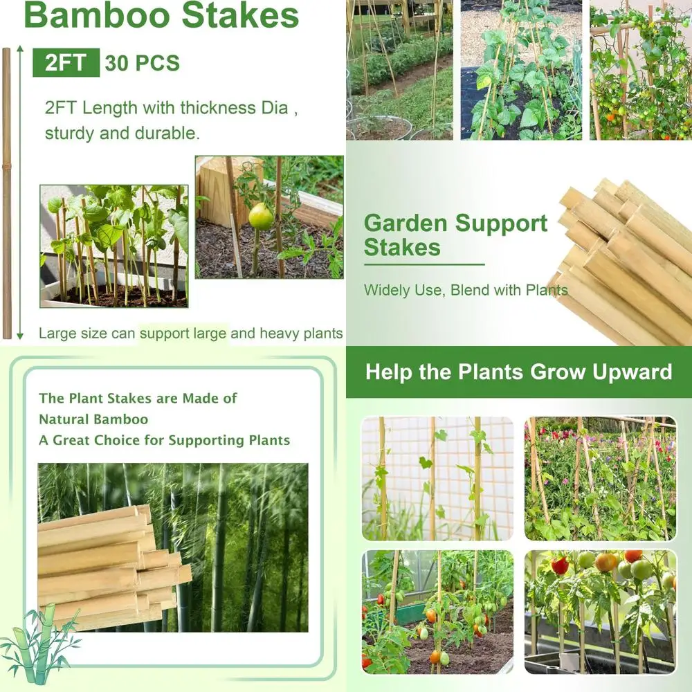 

Бамбуковые опоры для растений 60 см, 30 штук, для уличных и комнатных растений, для поддержки томатов, овощей, бобов, цветов, растений в горшках