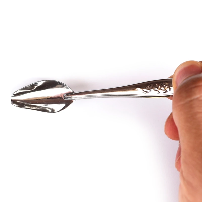 F92B Parrot Feeding Spoon Stainless Steel Feed Manual Metal Feeder Tool