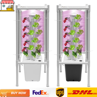 30-Holes Hydroponic Garden Vertical Tower with Growing Light |Growing System Vegetable Planter for Balcony Garden Greenhouse