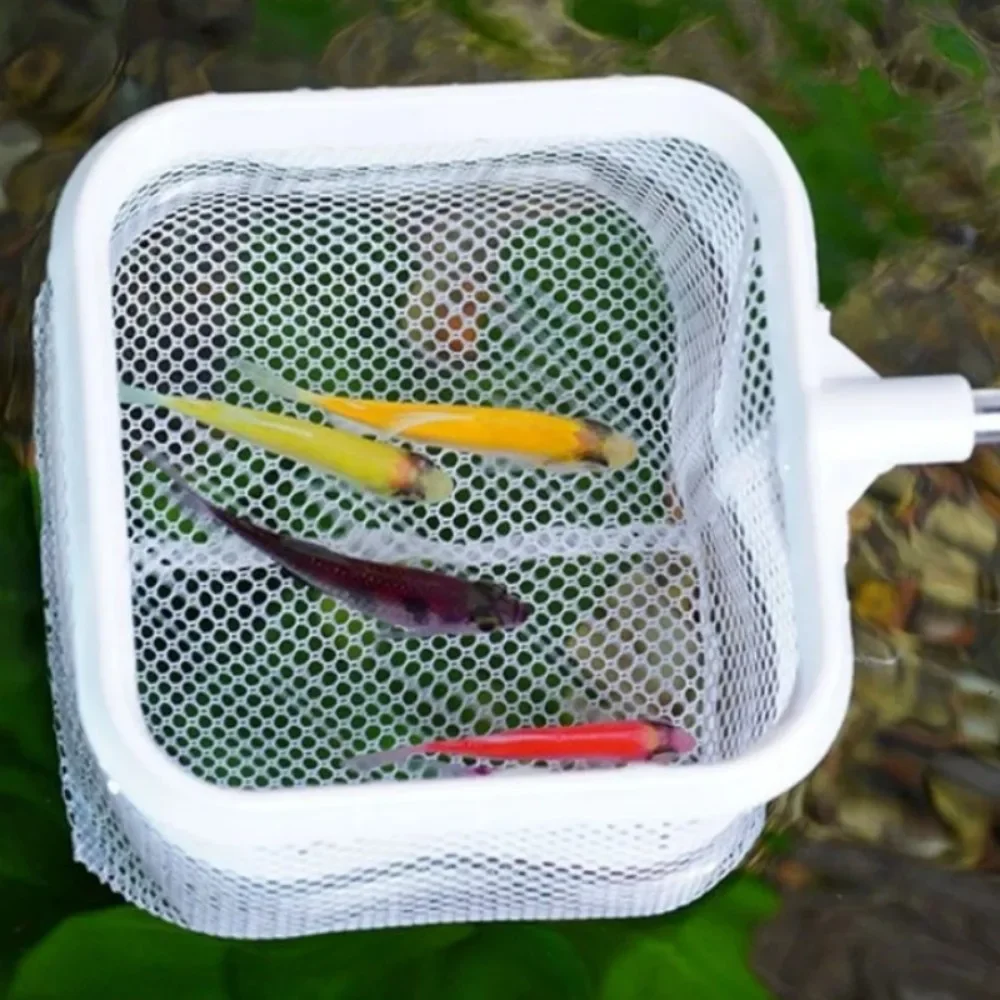 Red cuadrada extensible para acuario, receptor de peces y camarones de acero inoxidable con mango plegable, herramienta de limpieza de tanques para plantas/algas
