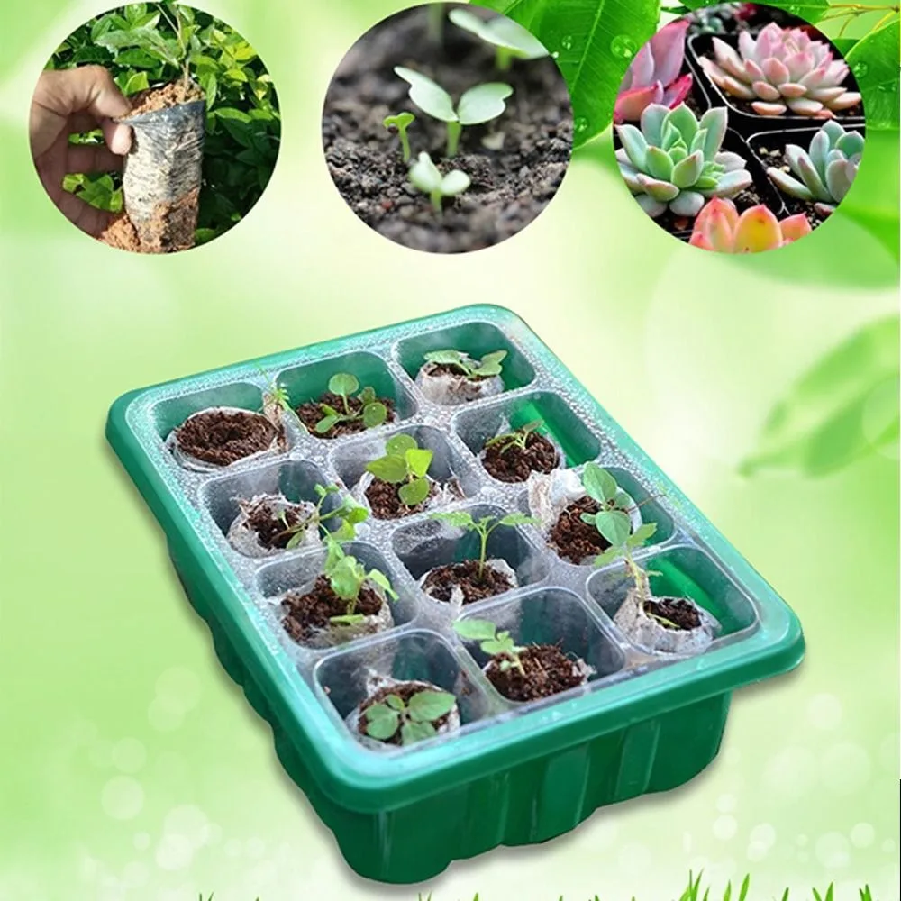 6/12Grids Seed Starter Tray Mini Greenhouse with Ventilation Hole Plant Germination Base Seeds Growing Cultivation Planting Box