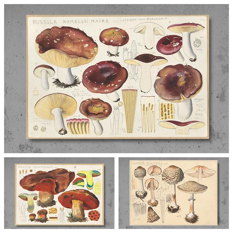 Hans-Walty Vintage Mushroom Botanical Art Print Set High Resolution Printable Wall Decor for Home Cottagecore Living Room Decor