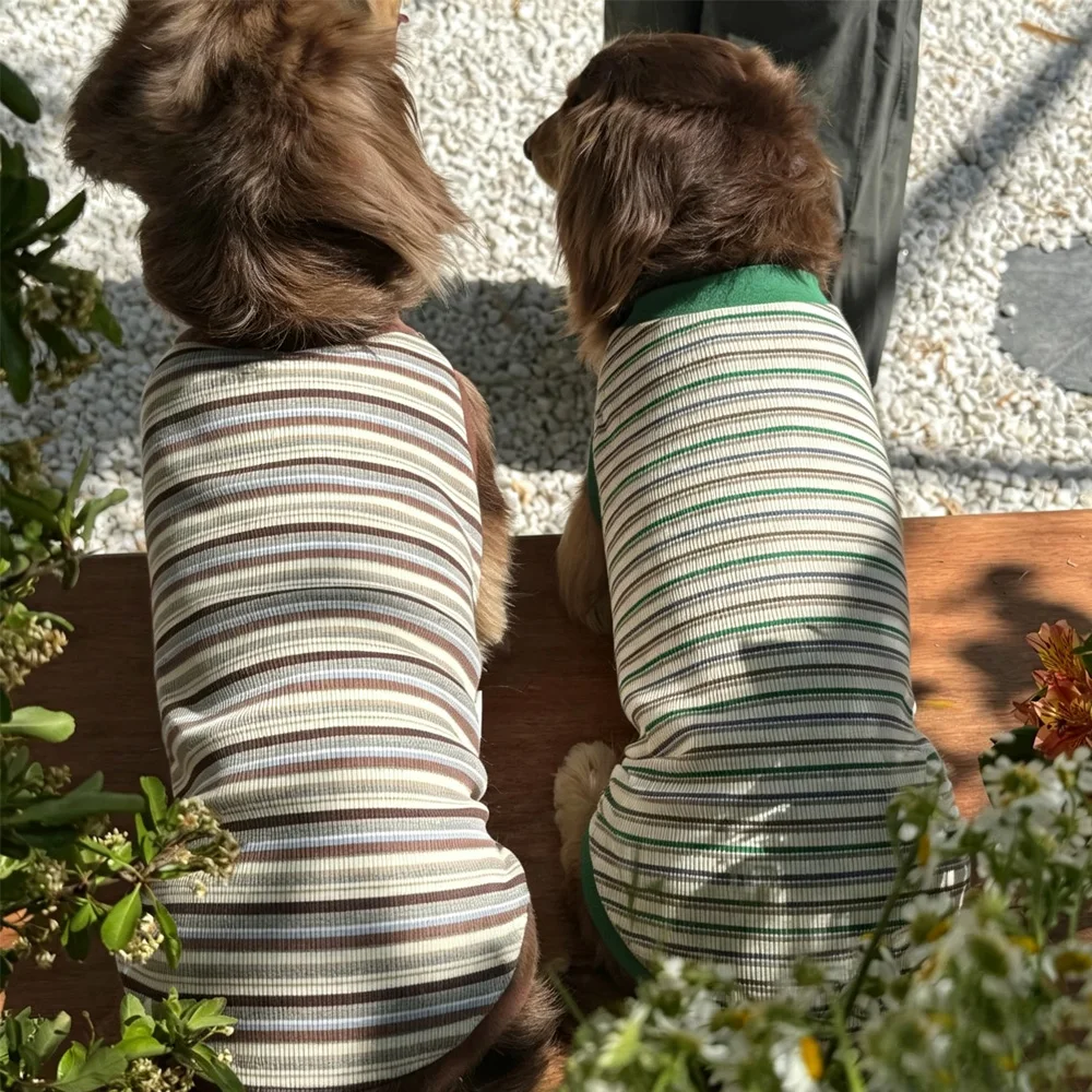 Camiseta de rayas para perro Salchicha, manga corta de primavera - imagen 3