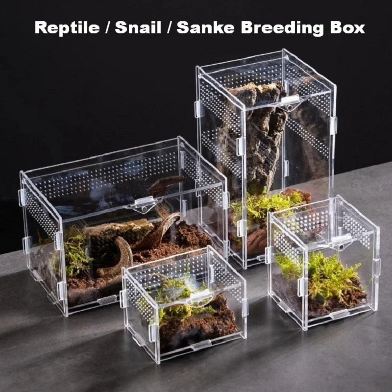 Transparent Reptile Snail Climbing Pet Feeding Box Anti-escape Ventilated Jumping Spider Terrarium Buckle Lock Acrylic Box
