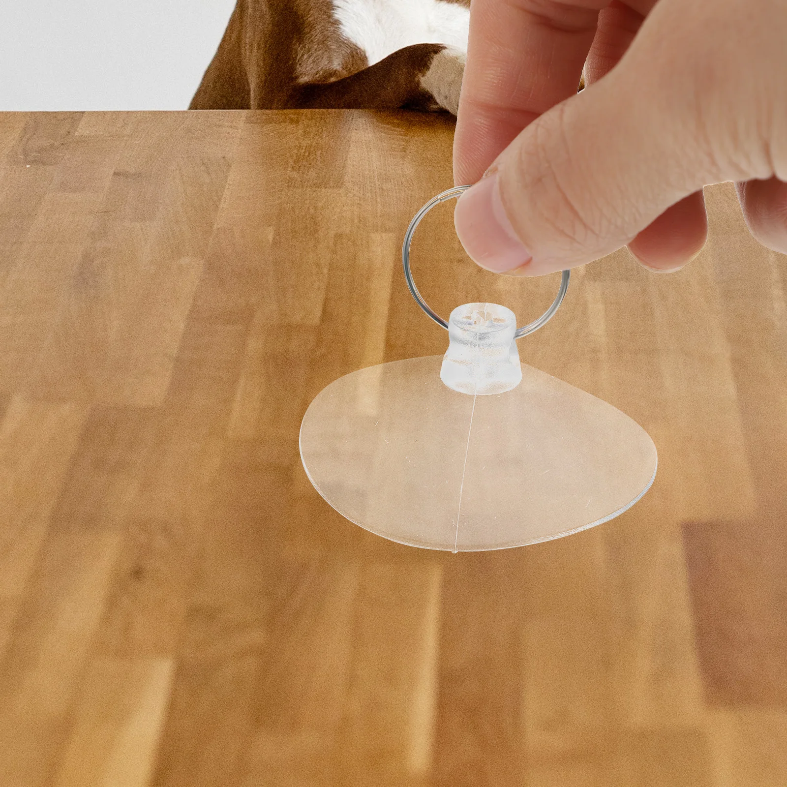 

50pcs Reptile Hammock Suction Cups For Small Pet Nest Fixer Reusable Plastic Suckers Replacement Accessories Window Glass