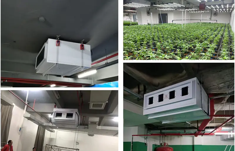 90L Industrial Ceiling Mounted Dehumidifier Powerful Moisture Removal for Factory & Warehouse Industrial Dehumidifier