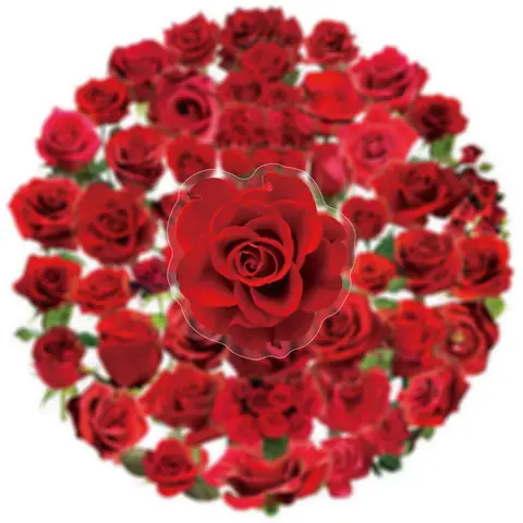 10/50PCS Transparent Red Rose Sticker Personalized Decoration Laptop Luggage Guitar Desk Toy Decal Valentine's Day Gift